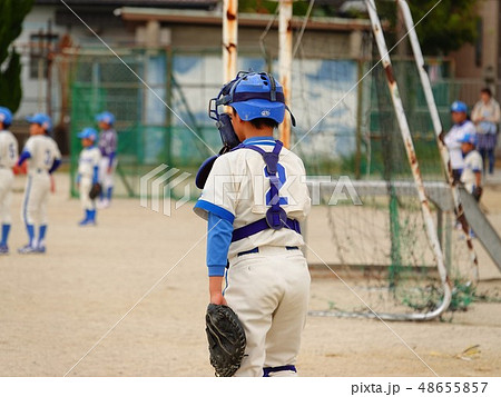 キャッチャー 後姿 野球 小学生の写真素材