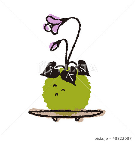 苔玉のイラスト素材