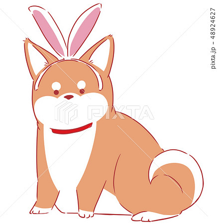 うさ耳の写真素材