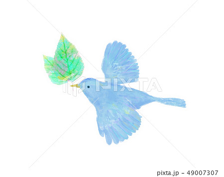 鳥 青い鳥 クローバー 四葉のクローバーのイラスト素材