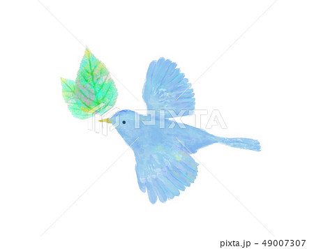 青い鳥のイラスト素材 Pixta