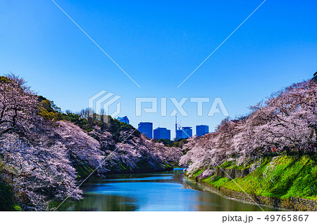都内の桜 Bouldering