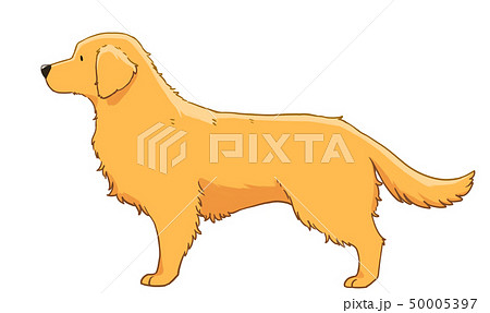 動物 犬 横顔 生き物のイラスト素材