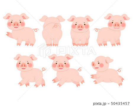 かわいい 動物 豚 しっぽの写真素材 Pixta