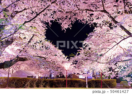 弘前公園 桜 ハート 春の写真素材 - PIXTA