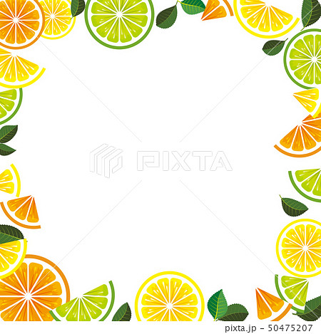 シトラスのイラスト素材