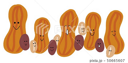 落花生のイラスト素材集 ピクスタ