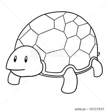 かめ カメ 絵を描く アートワークのイラスト素材