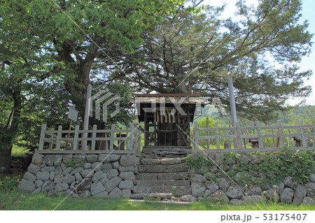 ミシャクジの写真素材