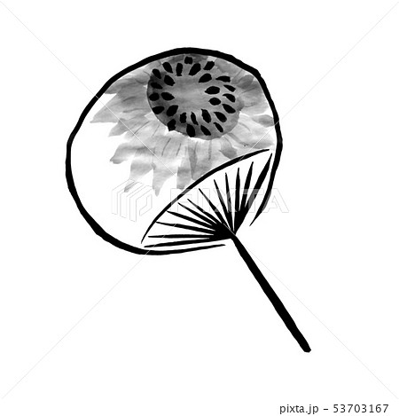 ヒマワリ 水墨画 墨絵 イラストのイラスト素材 - PIXTA