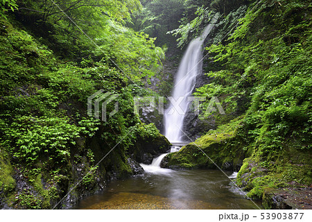 野鹿の滝の写真素材