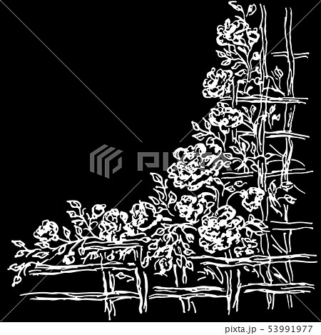 薔薇の垣根 ガーデンのイラスト素材