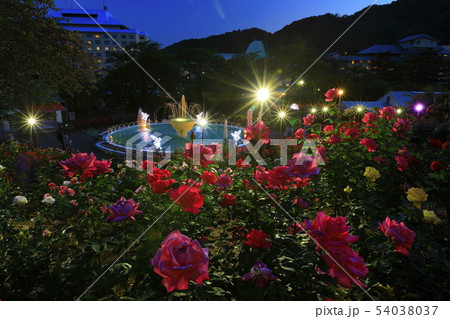 岩手県 花巻市 バラ園 ライトアップの写真素材