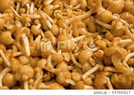 なめこの写真素材集 ピクスタ