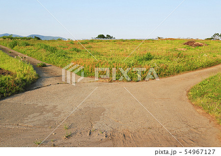 岐路 別れ道 道路 人生の写真素材