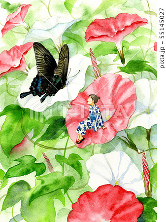 朝顔 夏 蝶 アゲハチョウの写真素材 - PIXTA
