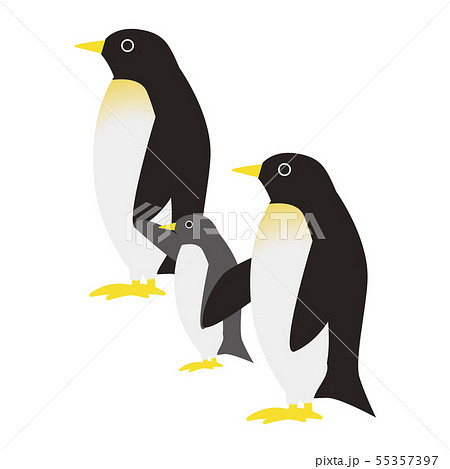 鳥 親子ペンギン イラスト 動物のイラスト素材