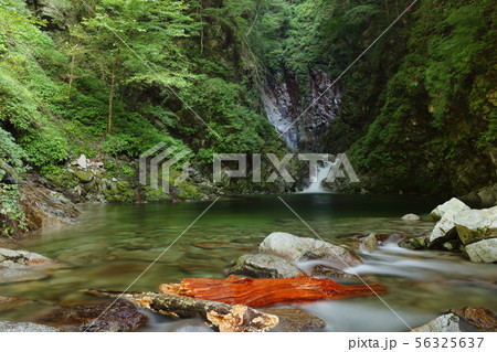 尾白川渓谷の写真素材 - PIXTA