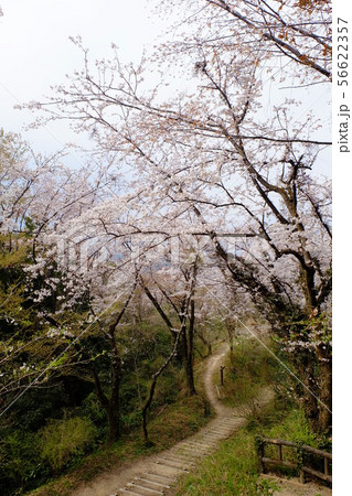 小峰峠の写真素材