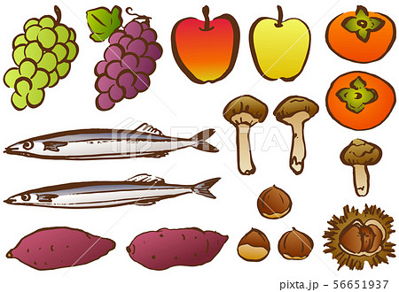 秋 食べ物のイラスト素材 Pixta