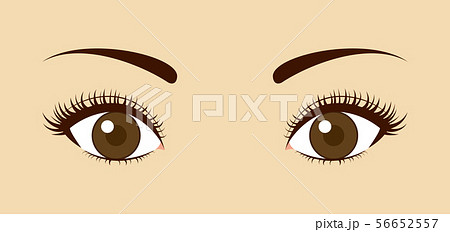 下まつげのイラスト素材
