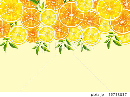 オレンジ 断面 果物 柑橘類のイラスト素材