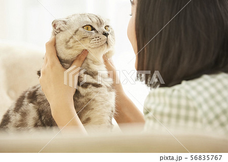 人物 女性 背中 外人の写真素材