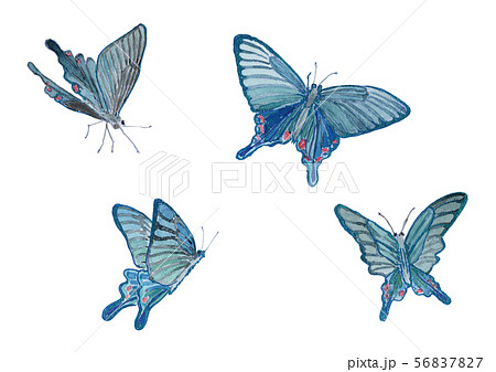 チョウ ちょう かわいい 蝶のイラスト素材 Pixta