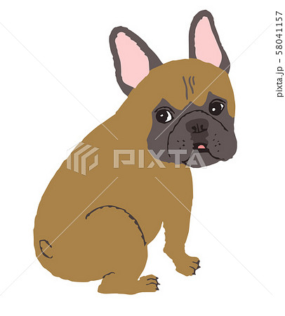 ブルドッグ 小型犬 フレンチブルドッグ 黒い犬のイラスト素材