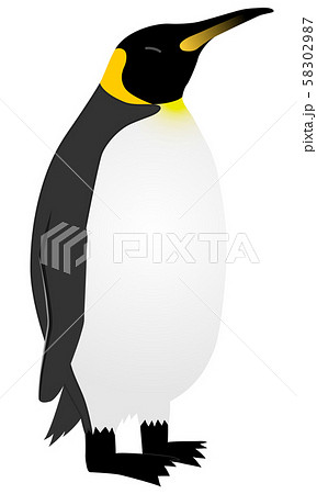 皇帝ペンギンのイラスト素材 皇帝ペンギンのイラスト素材