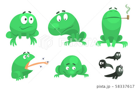 frog ugly cartoon character animals Photos - PIXTA