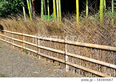 竹やぶ 竹 竹林 柵の写真素材