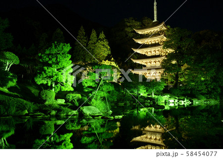 瑠璃光寺 ライトアップ 夜 香山公園の写真素材