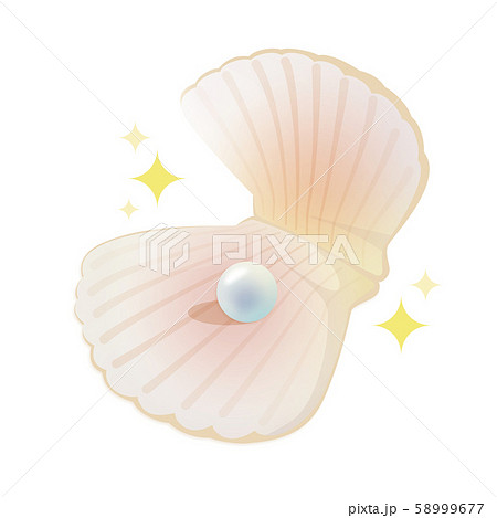 真珠のイラスト素材集 ピクスタ