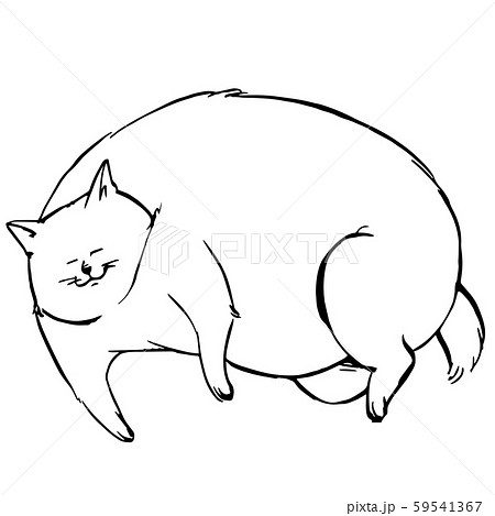 太った猫のイラスト素材 Pixta