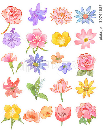 デイジー 背景 ピンク 白バック 可愛い花 イラスト花 壁紙 花のイラスト素材