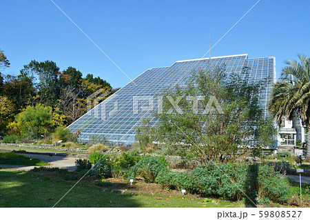 つくば植物園 筑波実験植物園 国立科学博物館 植物研究機関の写真素材