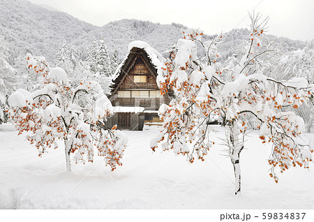 冬の白川郷の写真素材 - PIXTA
