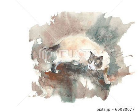 猫のイラスト 水彩画 猫の絵 透明水彩のイラスト素材