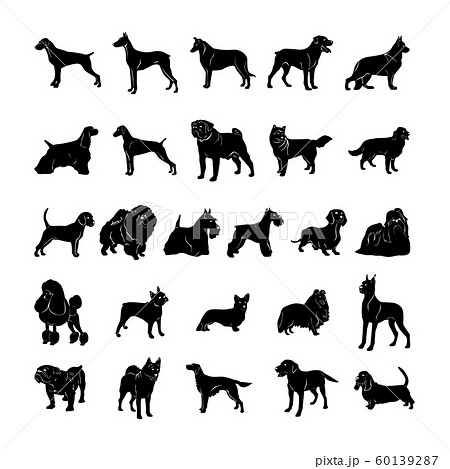 犬 シルエット プードル イラストの写真素材