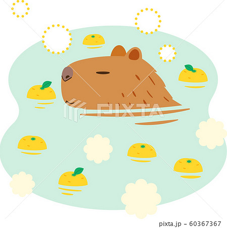 カピバラのイラスト素材