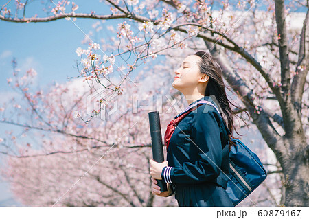 美少女 若い女性 桜並木の写真素材