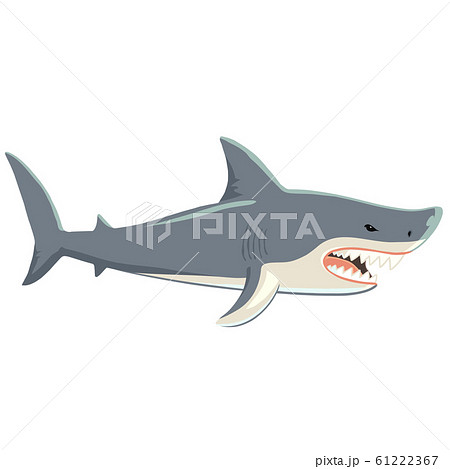 サメ 鮫 のイラスト素材集 Pixta ピクスタ