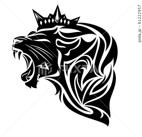 動物 ライオン イラスト 白黒 黒色の写真素材