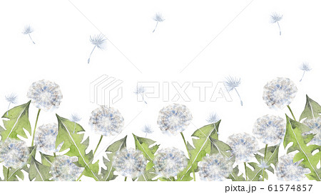 綿毛のイラスト素材