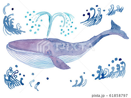 潮 鯨 クジラ イラストのイラスト素材