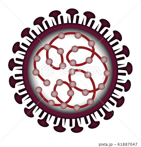 アミノ酸のイラスト素材