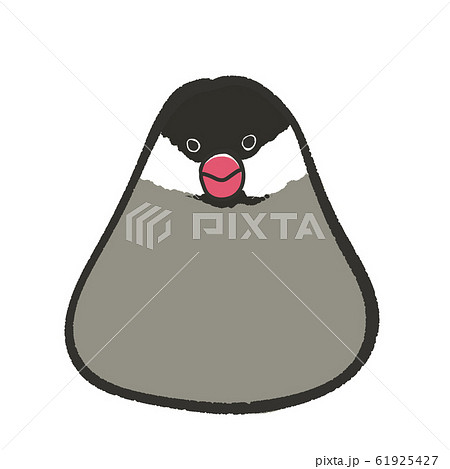 ノーマル文鳥の写真素材 - PIXTA