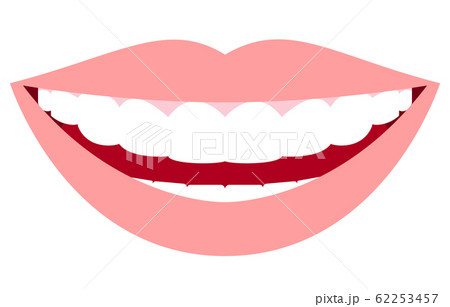 歯 口 歯並び きれいのイラスト素材
