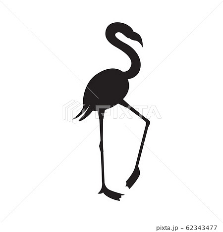 フラミンゴ 鳥 モノクロ 白黒の写真素材